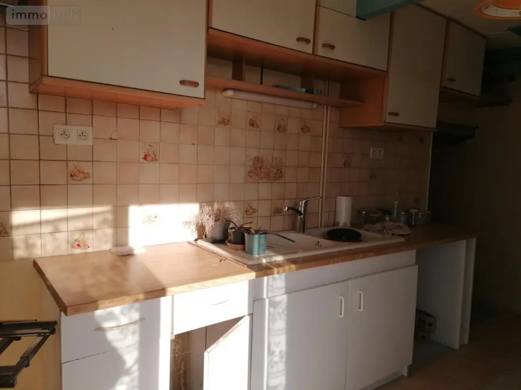 Maison a vendre Abilly 37160 Indre-et-Loire 37 150 m2 5 pièces 57750 euros 37082-250 004
