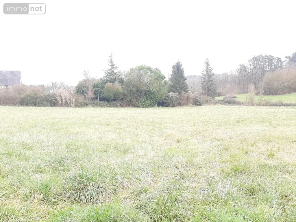 Terrain a batir a vendre Neuil 37190 Indre-et-Loire 37 131400 euros 37072-640 003
