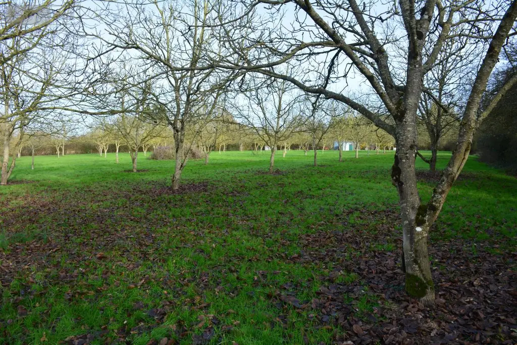 Terrains de loisirs bois etangs a vendre Grez-en-Bouère 53290 Mayenne 53 37450 euros 53039-382 004