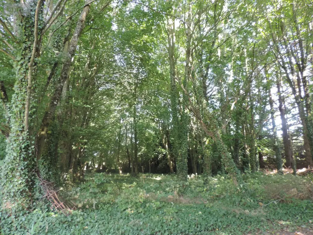Maison a vendre Pédernec 22540 Côtes-d'Armor 22 94 m2 5 pièces 176700 euros 22069-1954 014