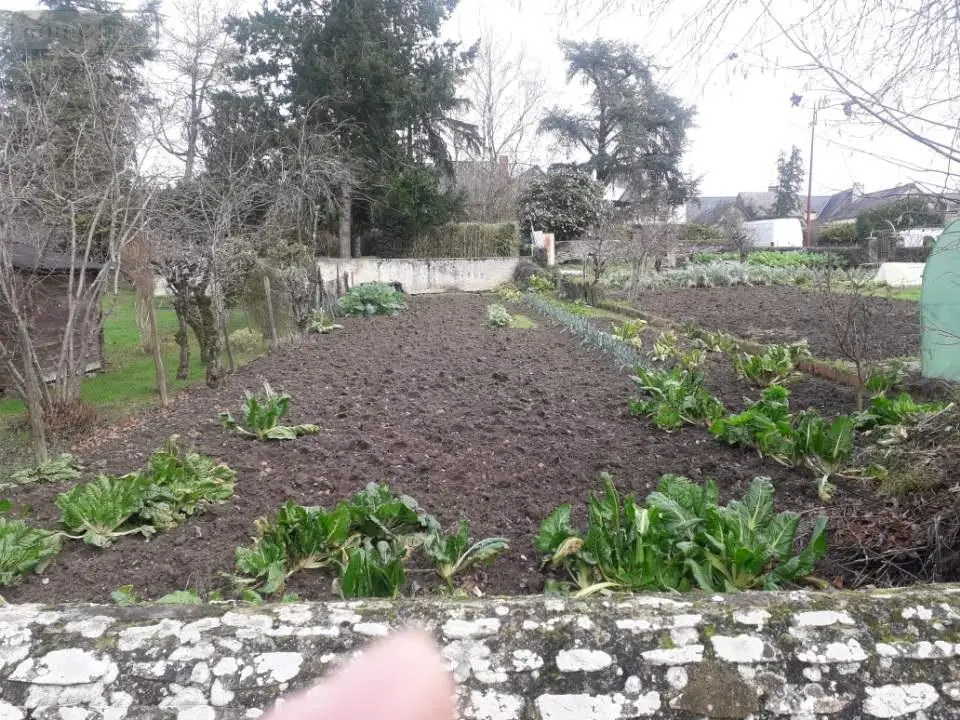 Location maison Longuenée-en-Anjou 49770 Maine-et-Loire 49 53 m2 2 pièces 630 euros 49114-L5 009