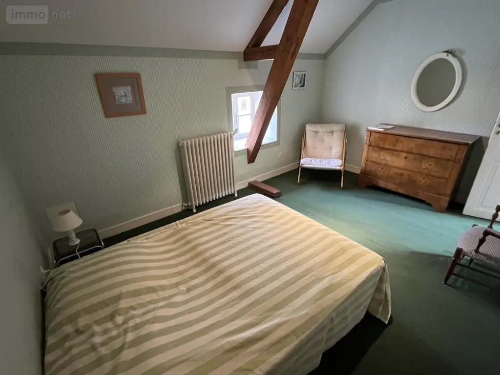 Maison a vendre Broût-Vernet 03110 Allier 03 310 m2 14 pièces 480000 euros 63022-38 028