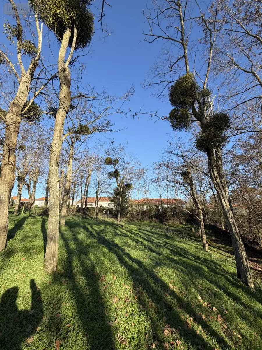 Terrain a batir a vendre Cholet 49300 Maine-et-Loire 49 94500 euros 49055-82 002