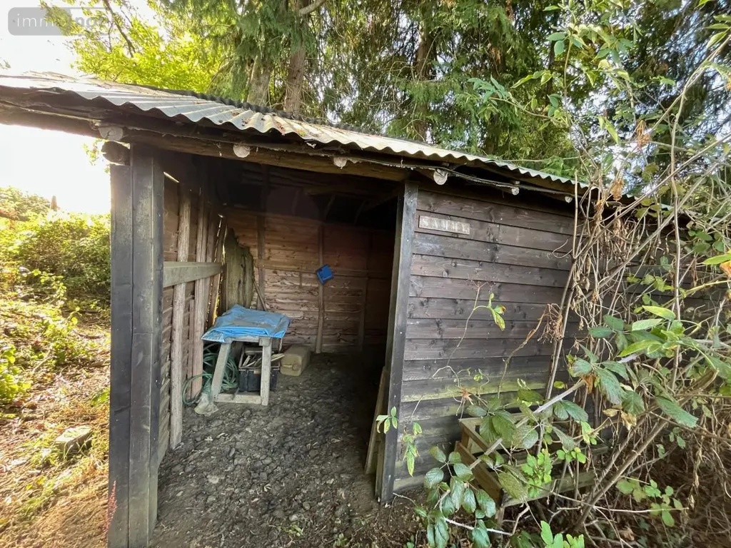 Terrains de loisirs bois etangs a vendre Ballon-Saint Mars 72290 Sarthe 72 10000 euros 72126-3247 003