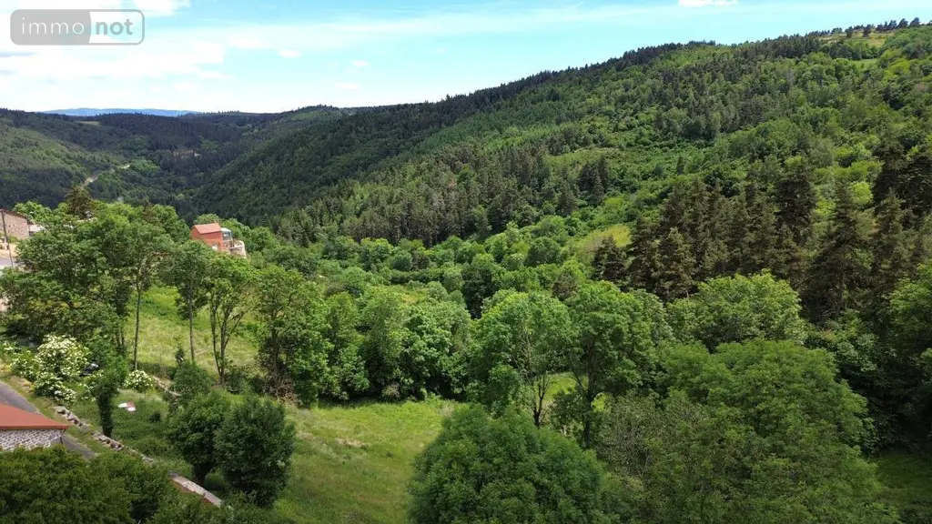 Maison a vendre Grandrieu 48600 Lozère 48 250 m2 368000 euros 48032-238 023