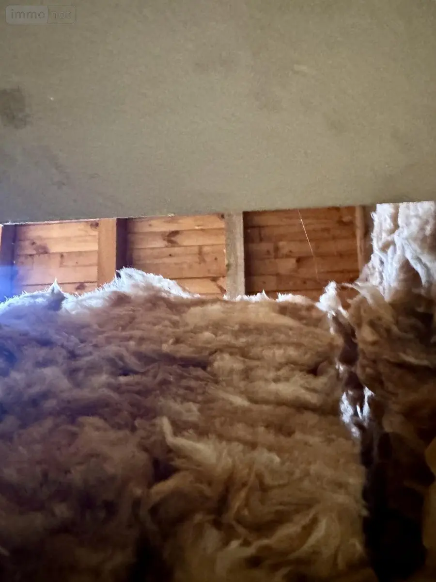 Maison a vendre Saint-Chély-d'Apcher 48200 Lozère 48 183 m2 184000 euros 48032-248 018