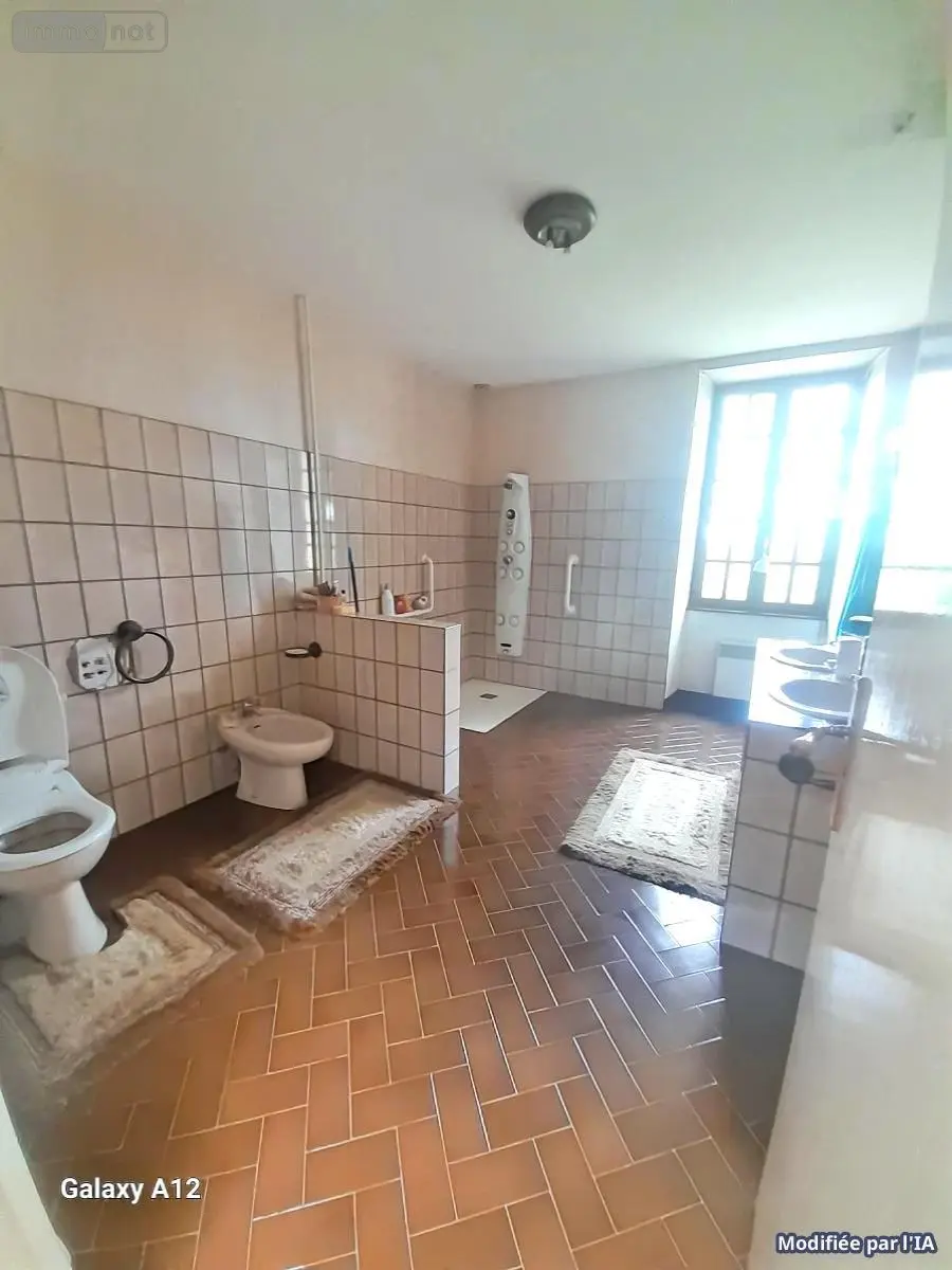 Maison a vendre Saint-Jean-le-Comtal 32550 Gers 32 215 m2 6 pièces 295000 euros 32002-1396 005