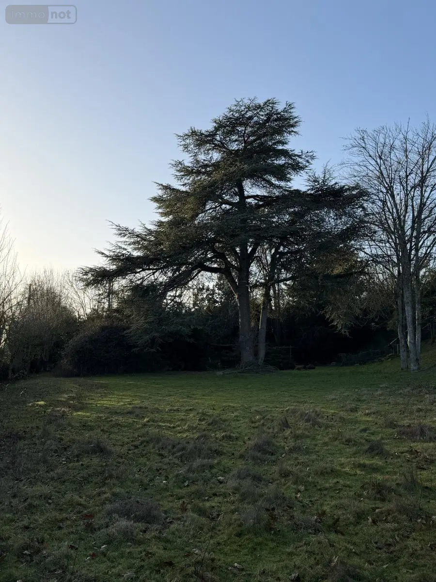 Maison a vendre Cholet 49300 Maine-et-Loire 49 123 m2 6 pièces 313500 euros 49055-84 014
