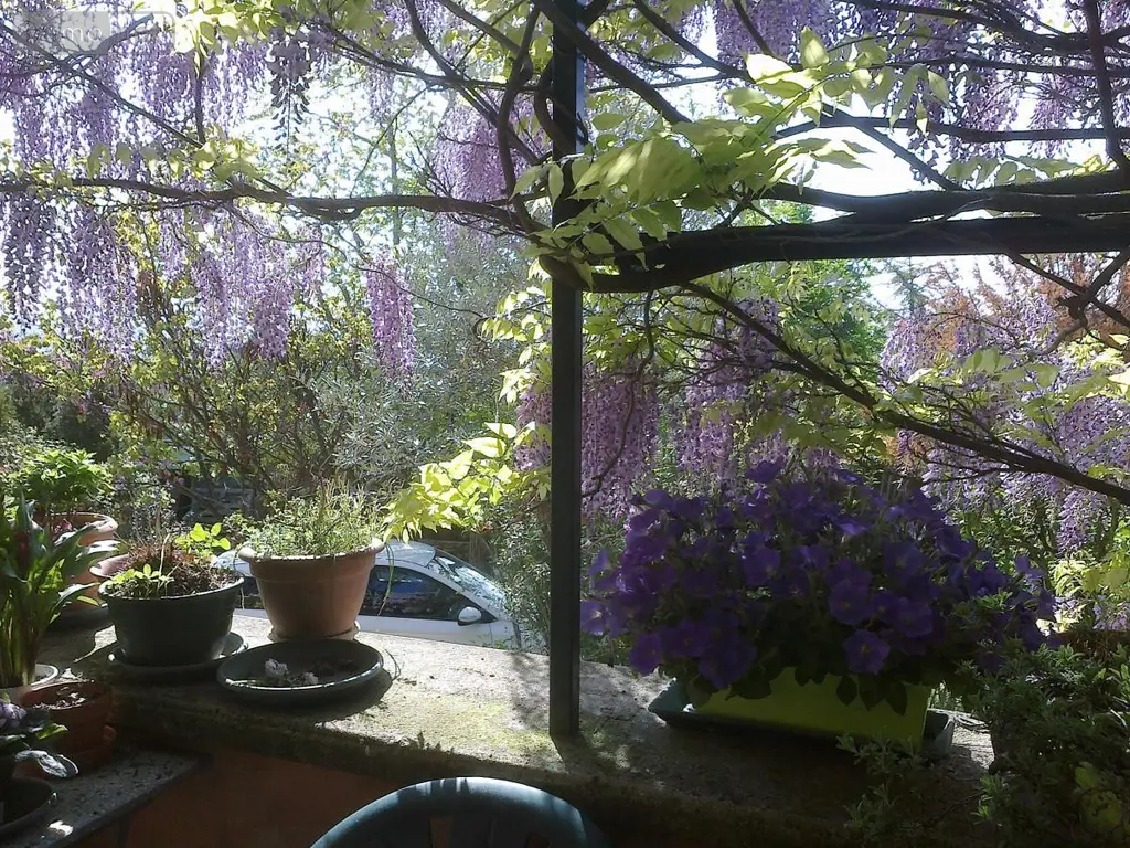 Viager maison Forcalquier 04300 Alpes-de-Haute-Provence 04 109 m2 5 pièces 120000 euros 04022-127 002
