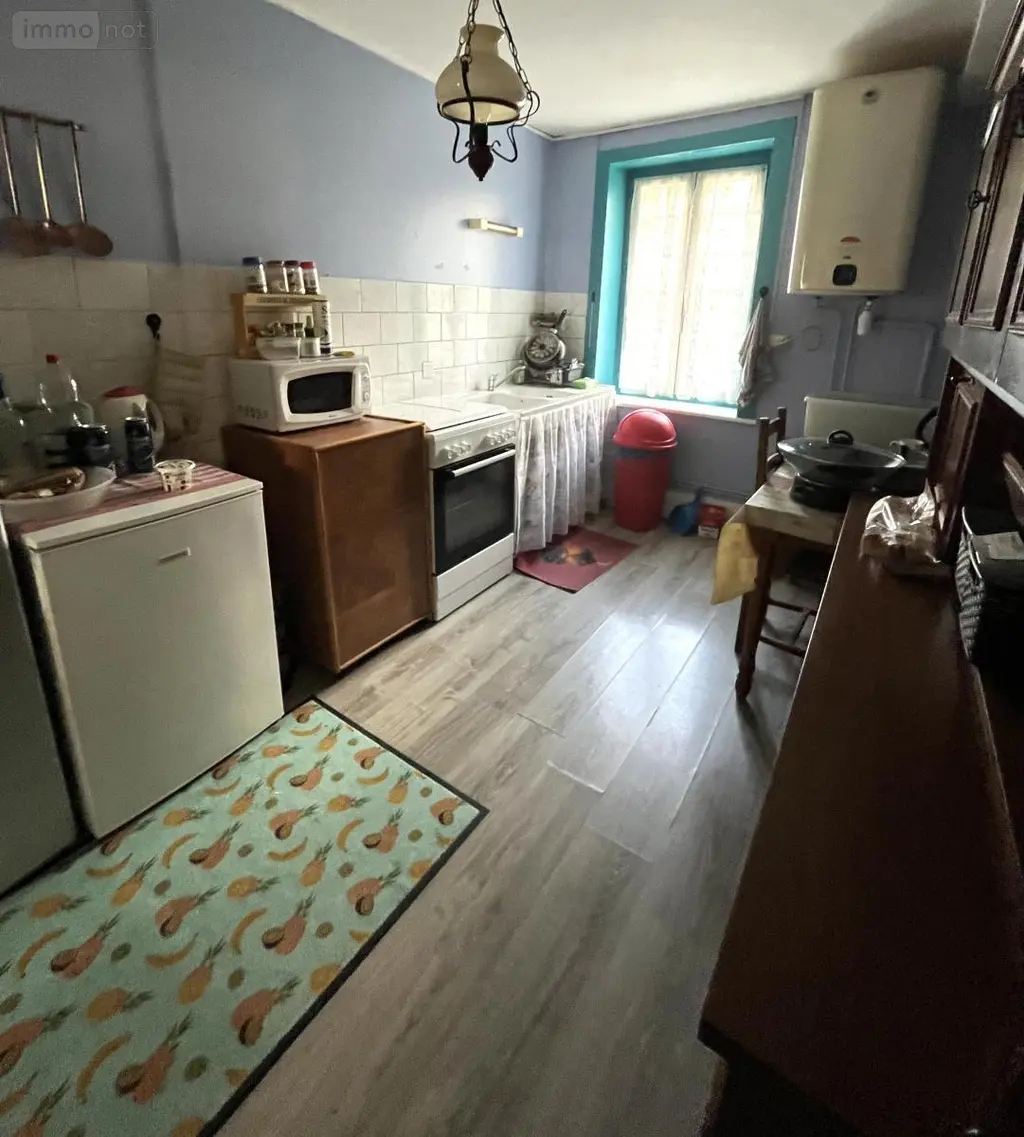 Viager immeuble de rapport Dole 39100 Jura 39 172 m2 50000 euros 39033-2547 006