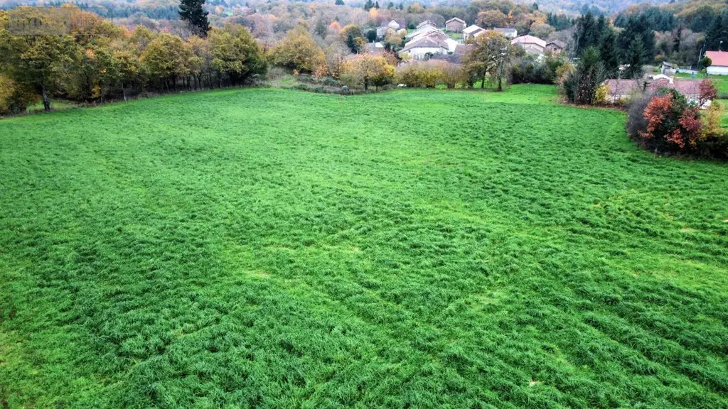 Terrain a batir a vendre Saint-Junien 87200 Haute-Vienne 87 21200 euros 87056-663 003