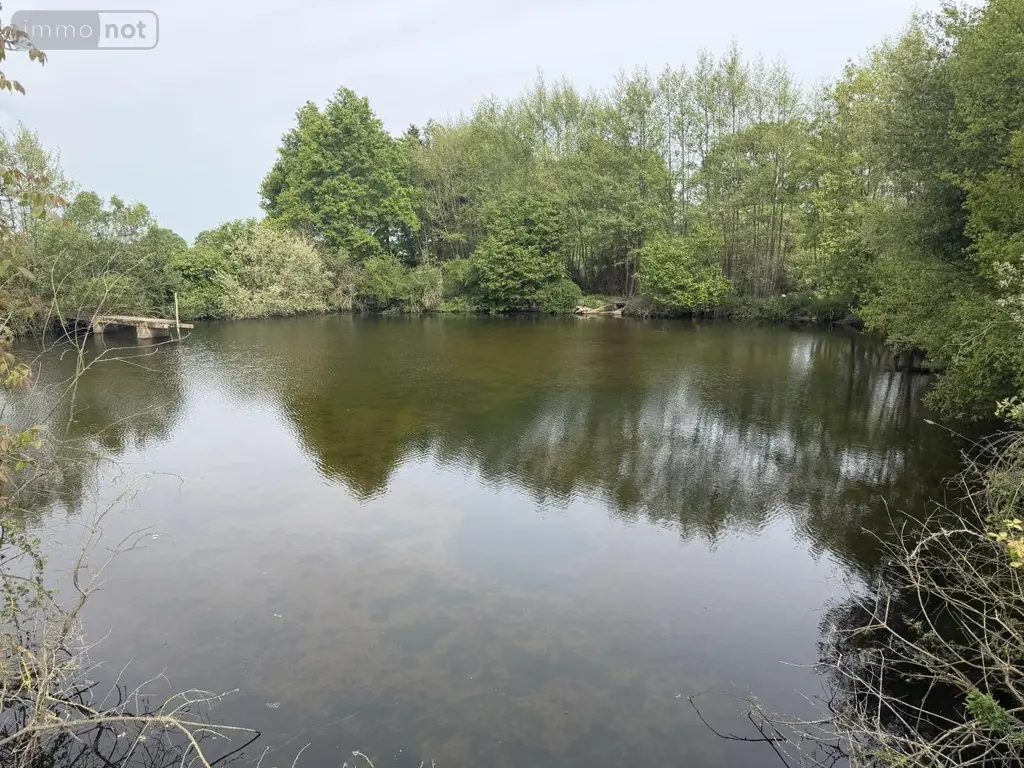 Terrains de loisirs bois etangs a vendre Saint-Martin-du-Bois 49500 Maine-et-Loire 49 48600 euros 49098-1425 005