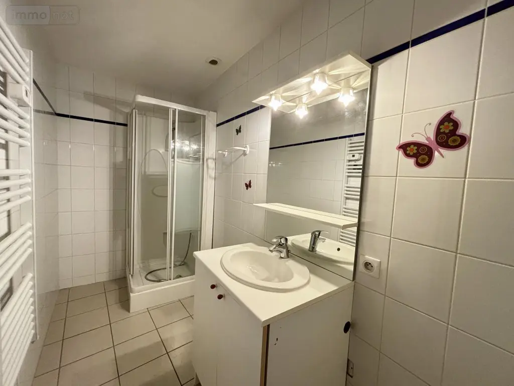 Immeuble de rapport a vendre Chagny 71150 Saône-et-Loire 71 138 m2 220500 euros 71057-50 005