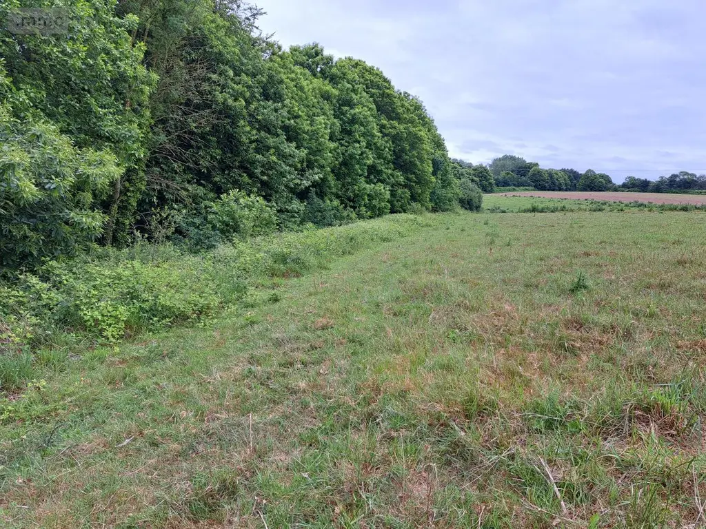 Terrains de loisirs bois etangs a vendre Camlez 22450 Côtes-d'Armor 22 17000 euros 22102-2447 002