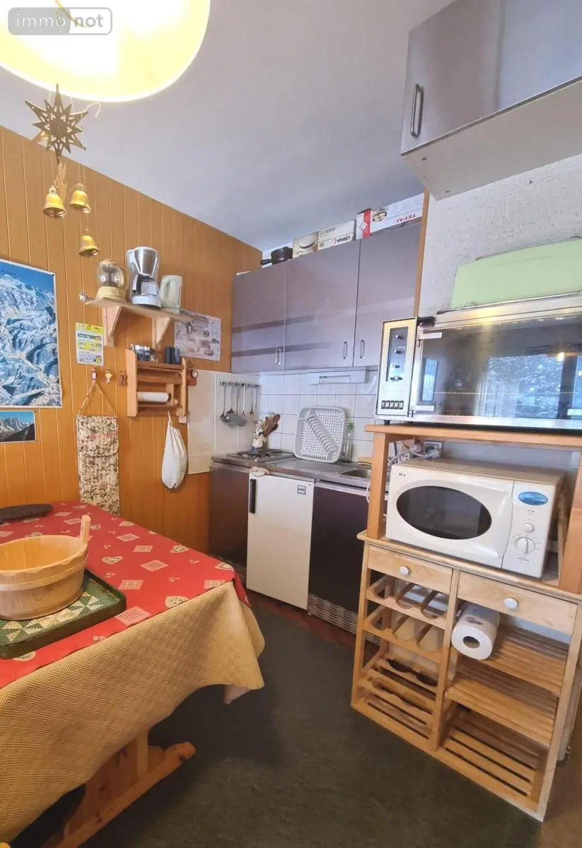 Appartement a vendre Châtel 74390 Haute-Savoie 74 29 m2 1 pièce 135000 euros 74042-660 005