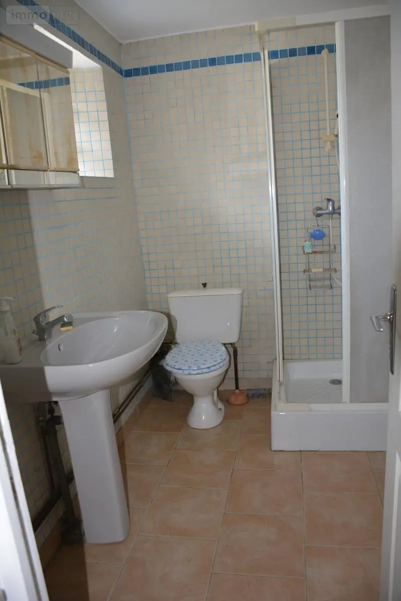 Maison a vendre Saint-Loup-du-Dorat 53290 Mayenne 53 343 m2 13 pièces 228800 euros 53039-369 011