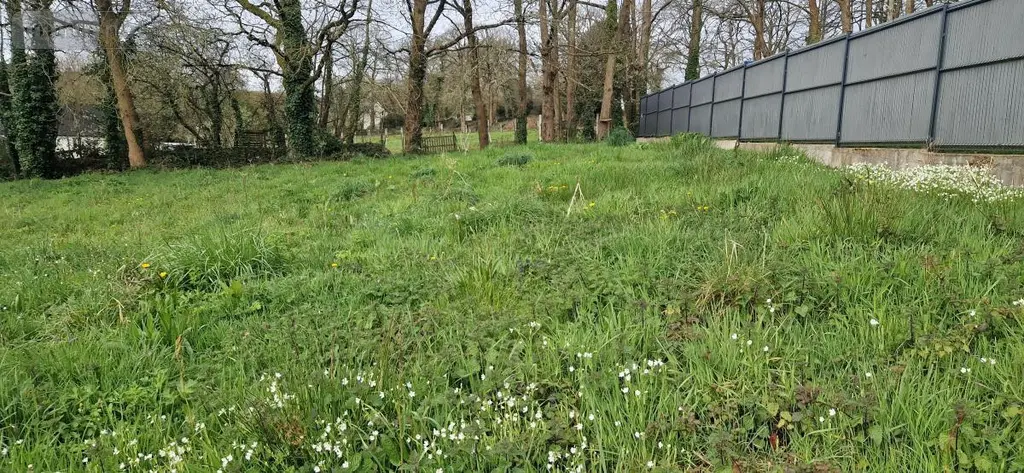 Terrain a batir a vendre Pontivy 56300 Morbihan 56 85085 euros 56062-2303 001