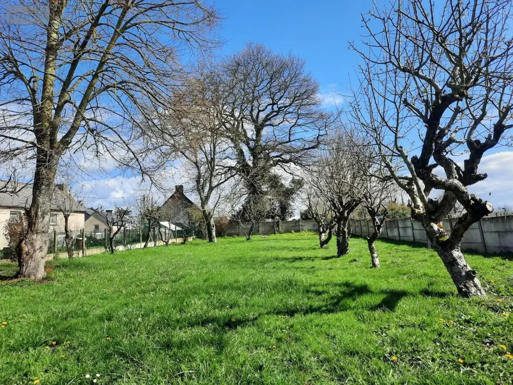 Immeuble de rapport a vendre Mohon 56490 Morbihan 56 130 m2 177260 euros 56044-1440 010