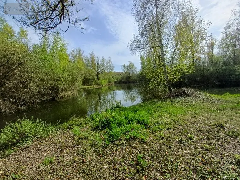 Terrains de loisirs bois etangs a vendre Amiens 80000 Somme 80 135000 euros 80011-5566 013