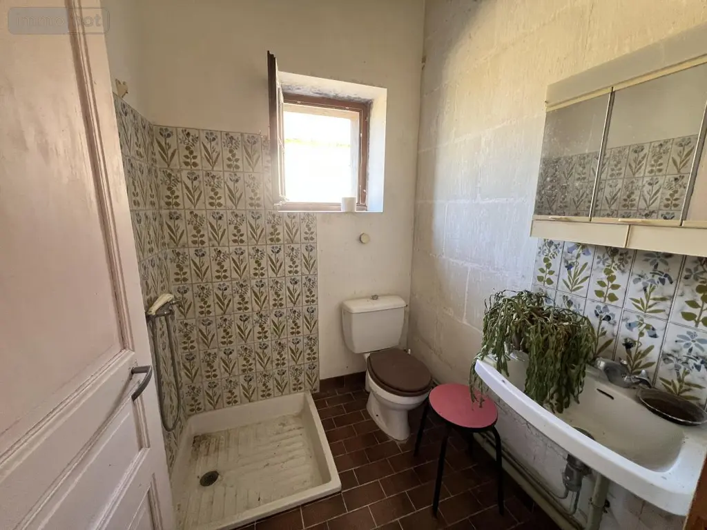 Maison a vendre Châteauvieux 41110 Loir-et-Cher 41 100 m2 5 pièces 148400 euros 41033-1810 014
