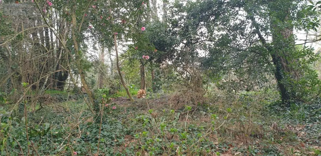 Terrain a batir a vendre Plougonvelin 29217 Finistère 29 360692 euros 29058-1678 002