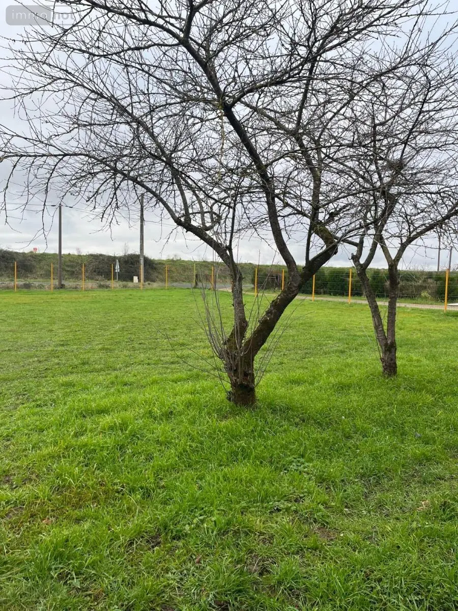 Fonds et murs commerciaux a vendre Parçay-sur-Vienne 37220 Indre-et-Loire 37 500 m2 90100 euros 37060-2284 005