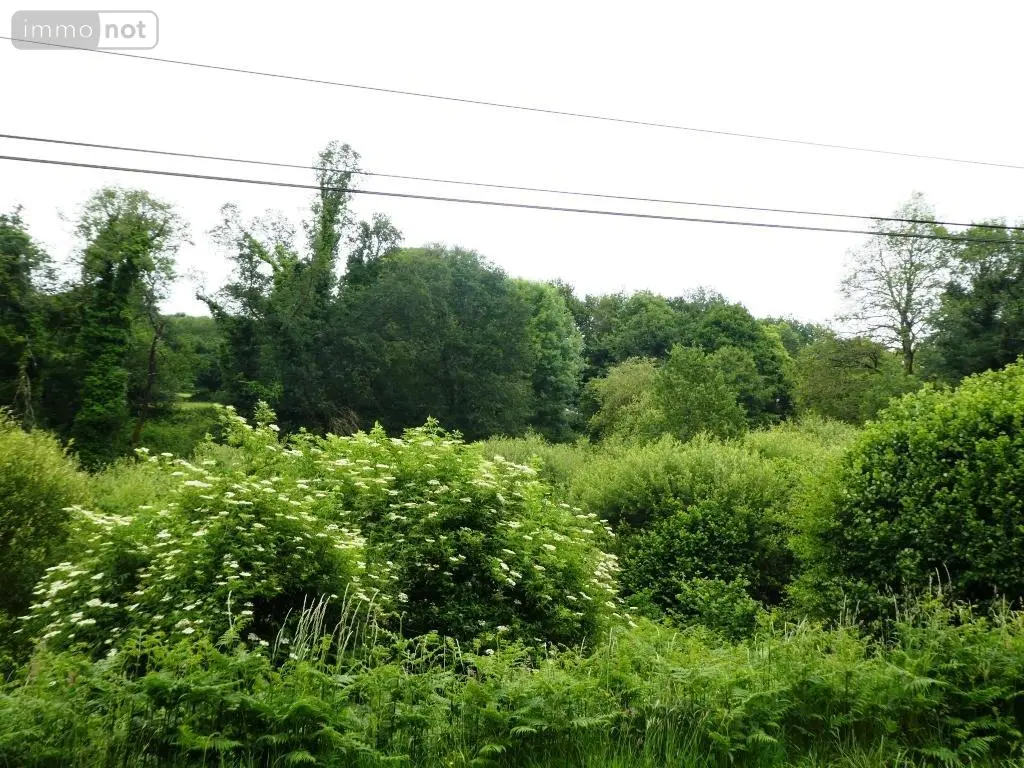 Terrains de loisirs bois etangs a vendre Plouray 56770 Morbihan 56 15990 euros 56075-2387 007