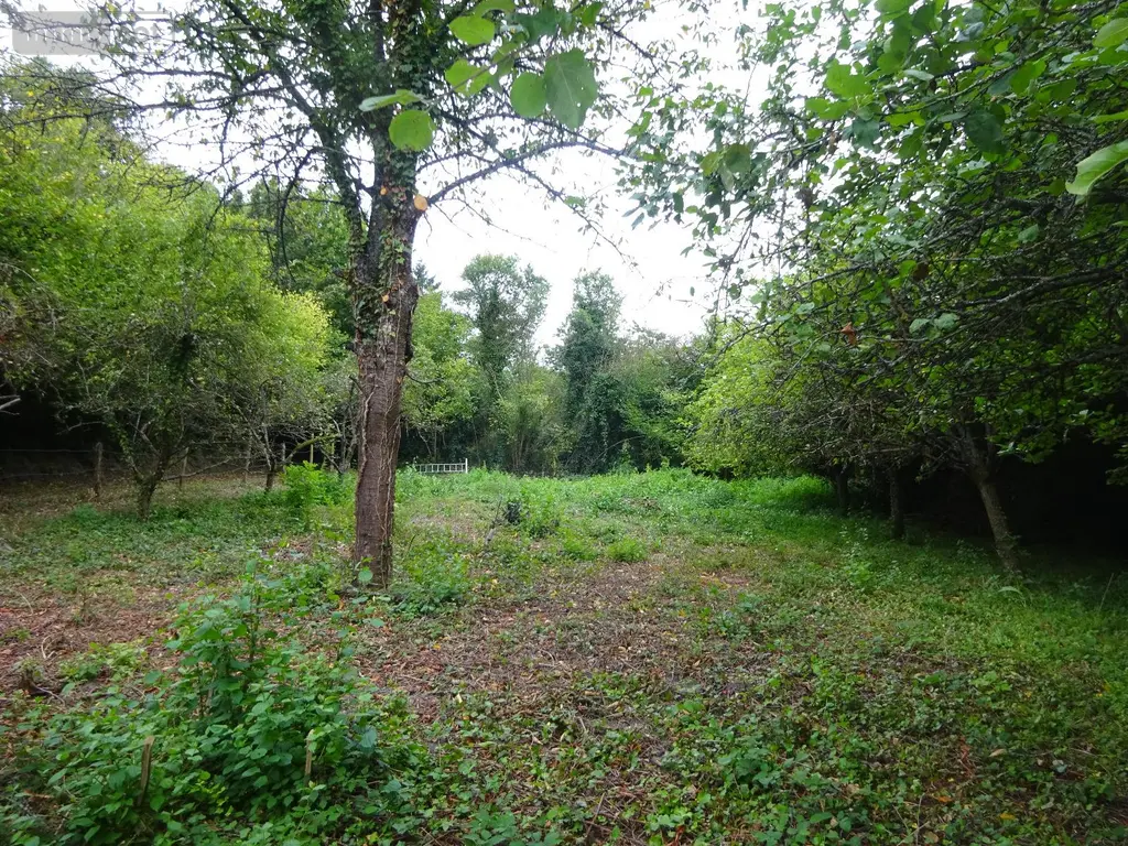 Divers a vendre Coudray-au-Perche 28330 Eure-et-Loir 28 6200 euros COU 757 002