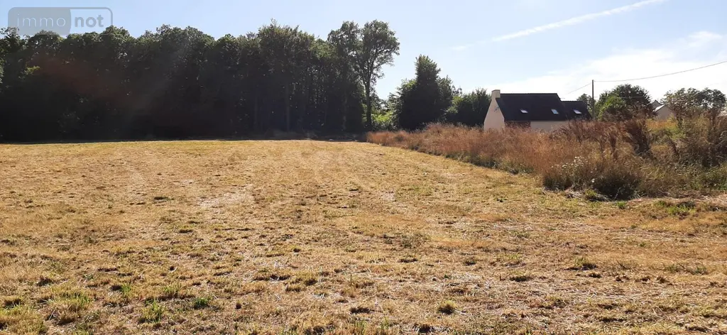 Terrain a batir a vendre Lanvénégen 56320 Morbihan 56 40280 euros MA01221 002
