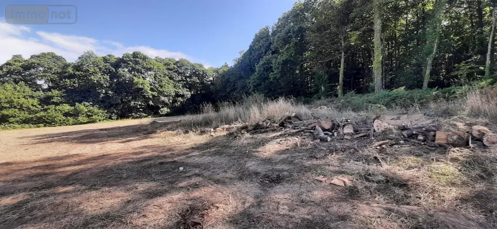 Terrain a batir a vendre Lanvénégen 56320 Morbihan 56 40280 euros MA01221 003