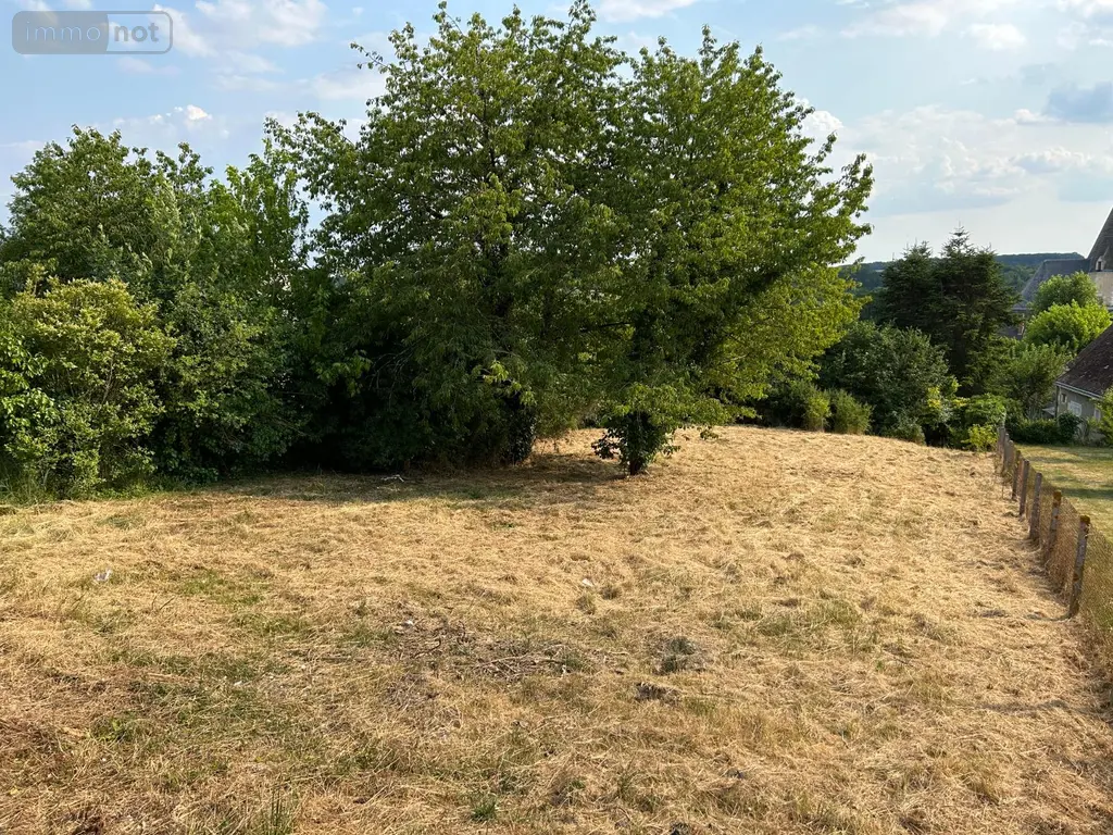Terrain a batir a vendre Genillé 37460 Indre-et-Loire 37 676 m2 27500 euros 37089/2022/23 002