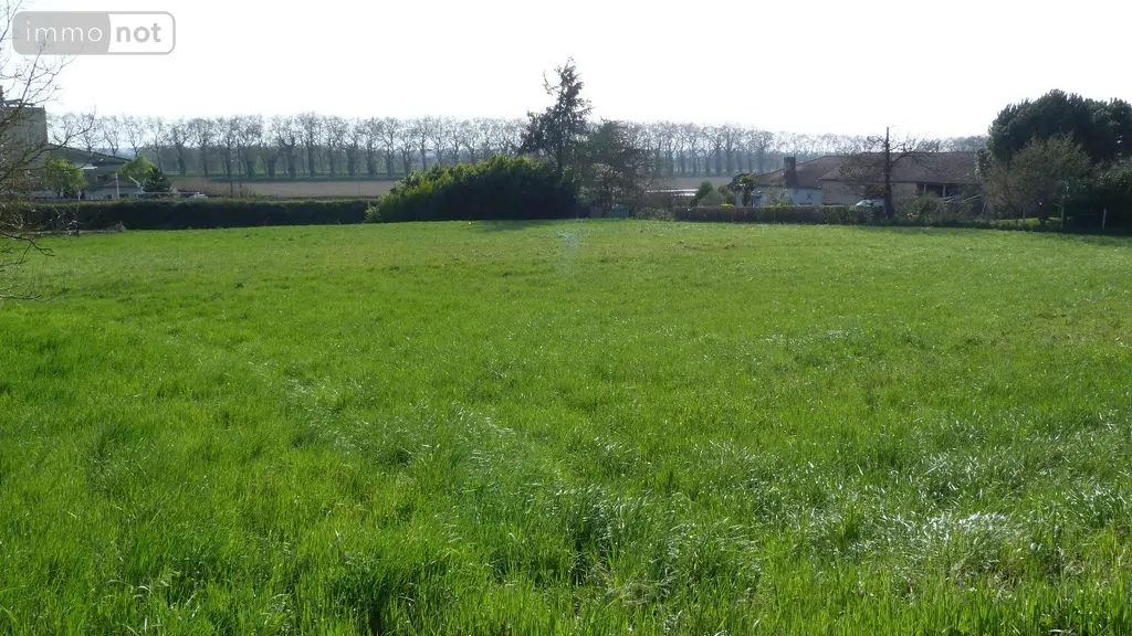 Terrain a batir a vendre Malause 82200 Tarn-et-Garonne 82 2600 m2 39000 euros 1467 004