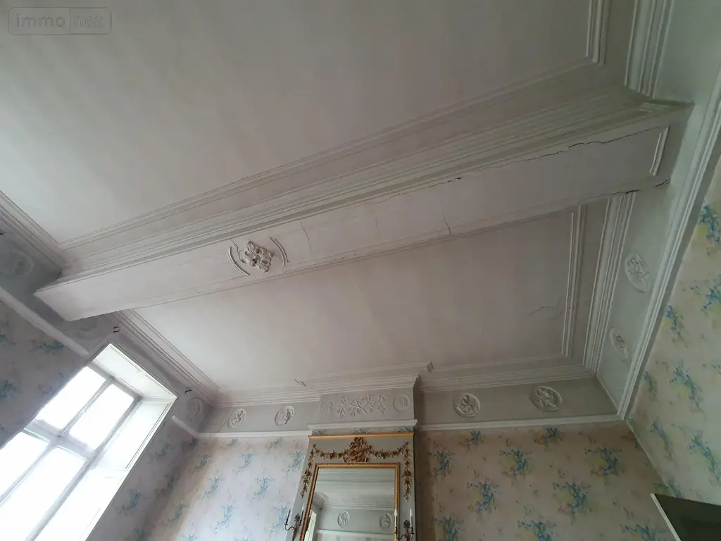 Propriete a vendre La Ferté-Bernard 72400 Sarthe 72 358 m2 14 pièces 449500 euros 336 005