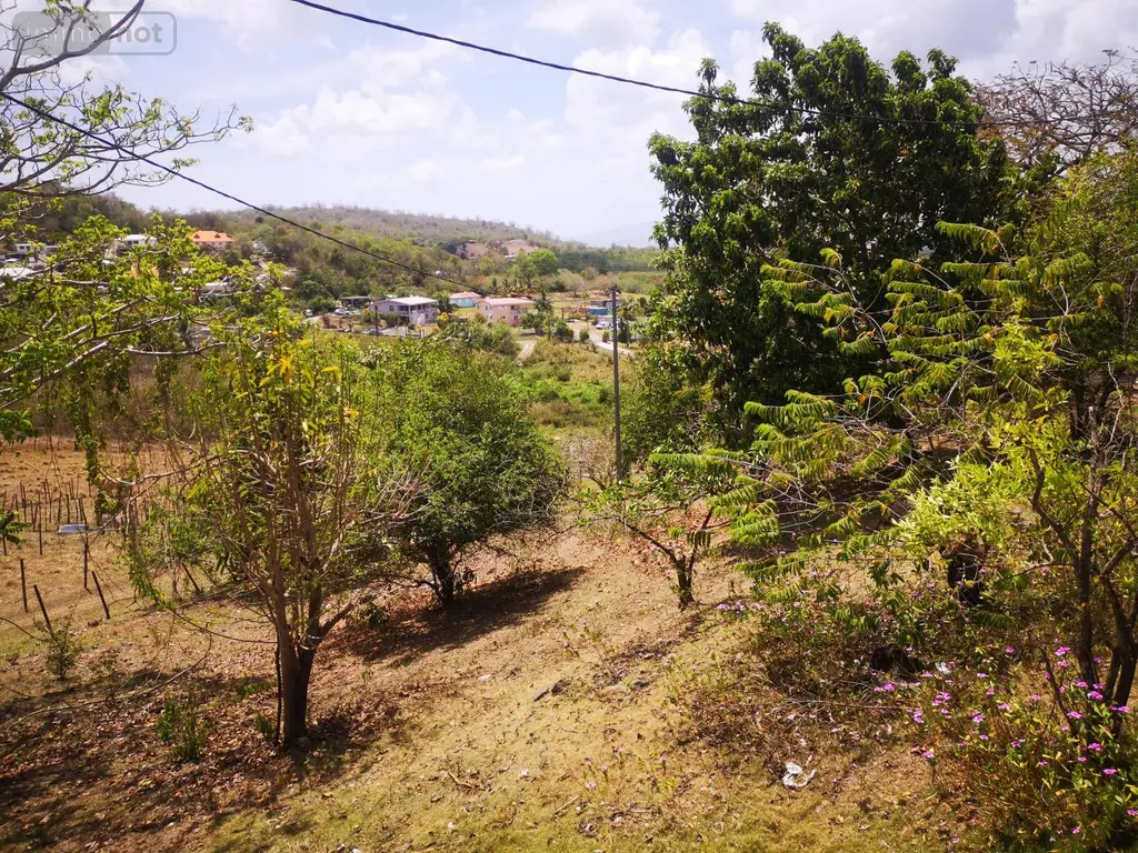 Propriete a vendre Rivière-Salée 97215 Martinique 972 170 m2 4 pièces 480000 euros achat_propriete_com_97221_97215 006