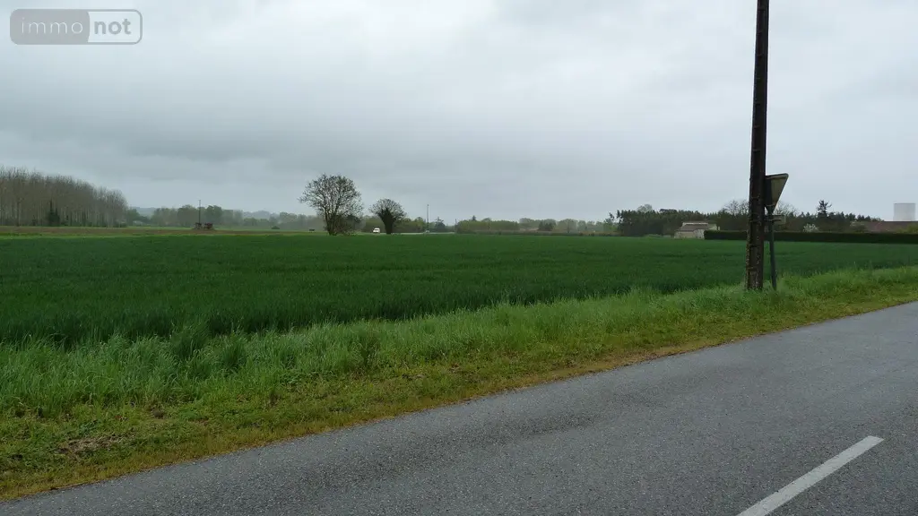 Terrain a batir a vendre Lamagistère 82360 Tarn-et-Garonne 82 25000 m2 198000 euros 1464 001