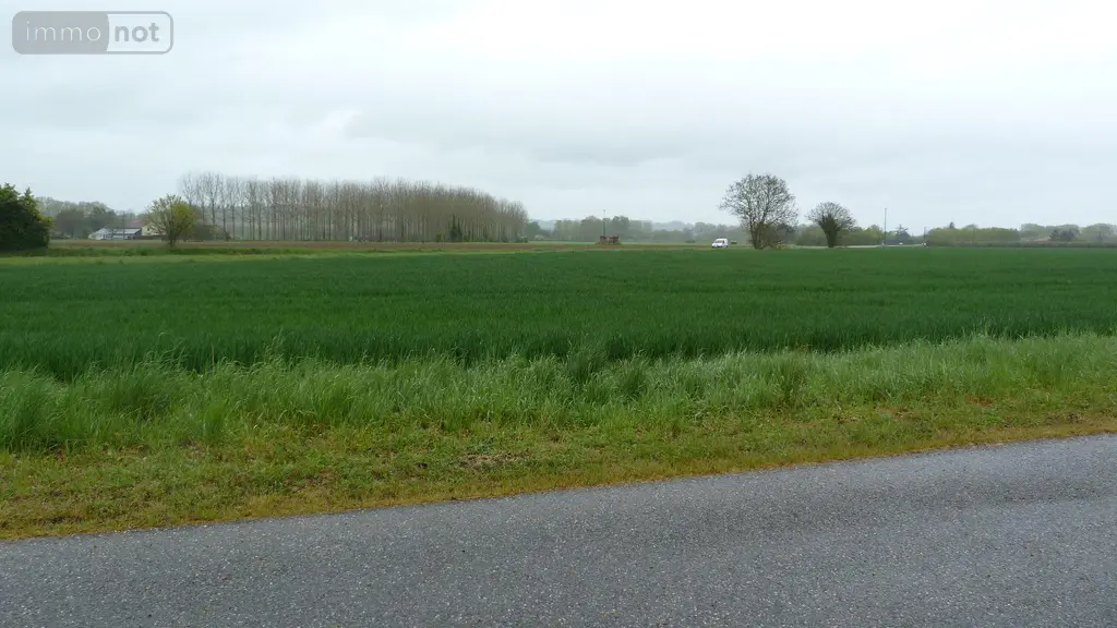 Terrain a batir a vendre Lamagistère 82360 Tarn-et-Garonne 82 25000 m2 198000 euros 1464 002