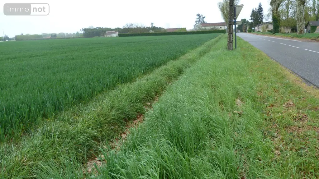 Terrain a batir a vendre Lamagistère 82360 Tarn-et-Garonne 82 25000 m2 198000 euros 1464 003