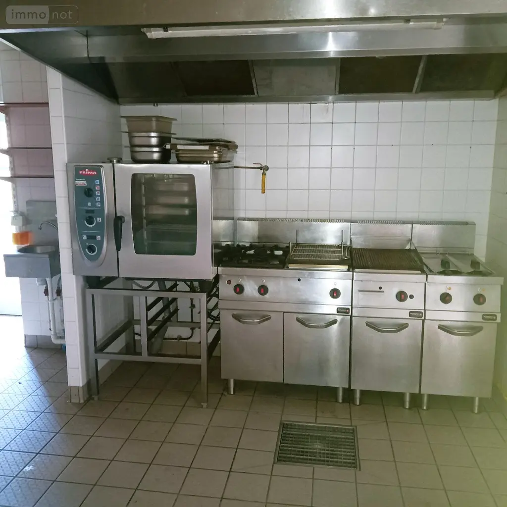 Maison a vendre Thalamy 19200 Corrèze 19 170 m2 4 pièces 157500 euros M29 005