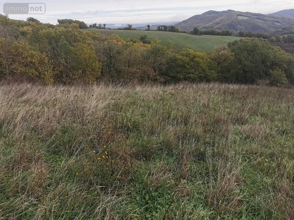 Bien agricole a vendre Brousse-le-Château 12480 Aveyron 12 70000 euros Me CUNIENQ 003