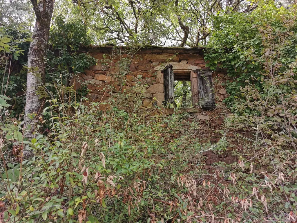Bien agricole a vendre Brousse-le-Château 12480 Aveyron 12 70000 euros Me CUNIENQ 005