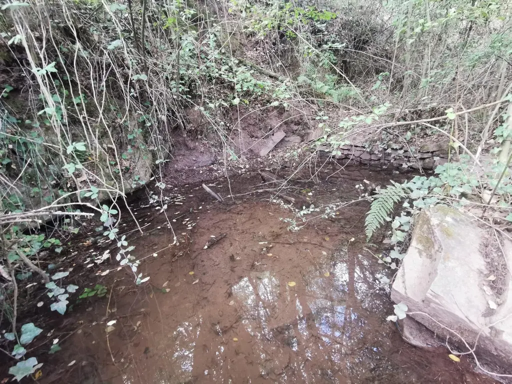 Bien agricole a vendre Brousse-le-Château 12480 Aveyron 12 70000 euros Me CUNIENQ 006