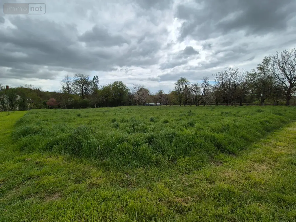 Terrain a batir a vendre Treigny-Perreuse-Sainte-Colombe 89520 Yonne 89 13600 euros Ref 053 001
