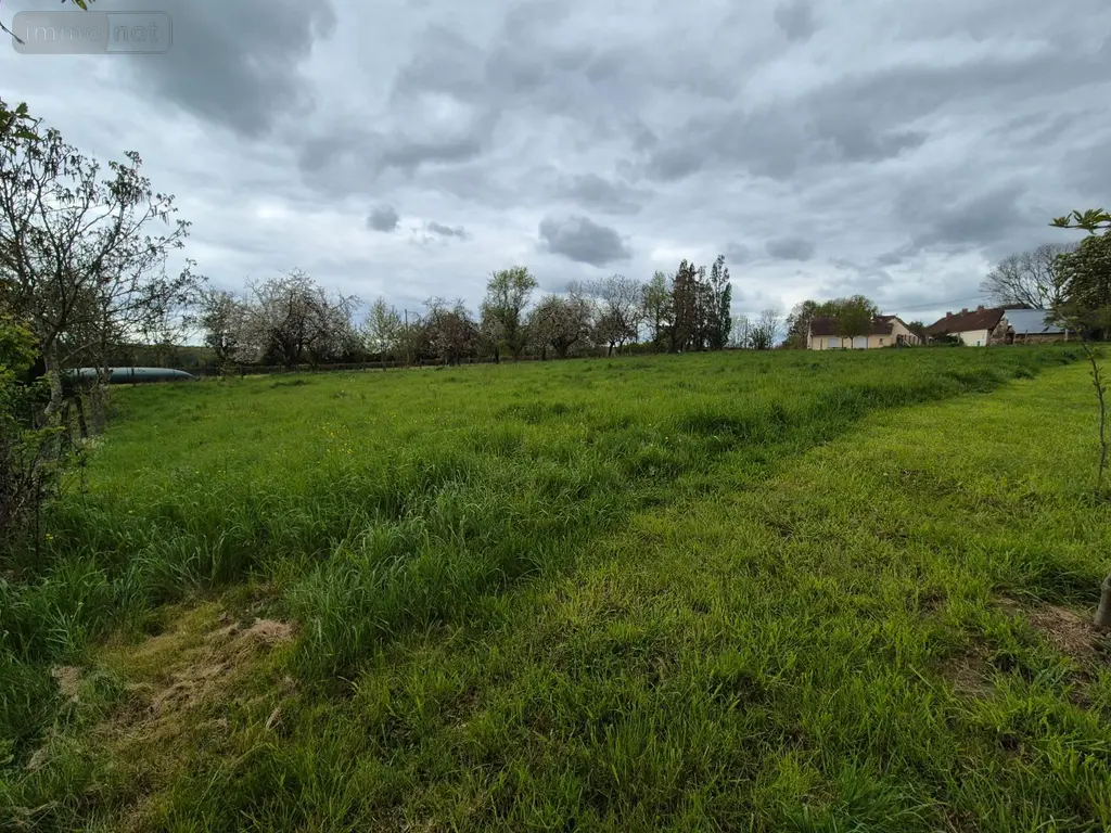 Terrain a batir a vendre Treigny-Perreuse-Sainte-Colombe 89520 Yonne 89 13600 euros Ref 053 002