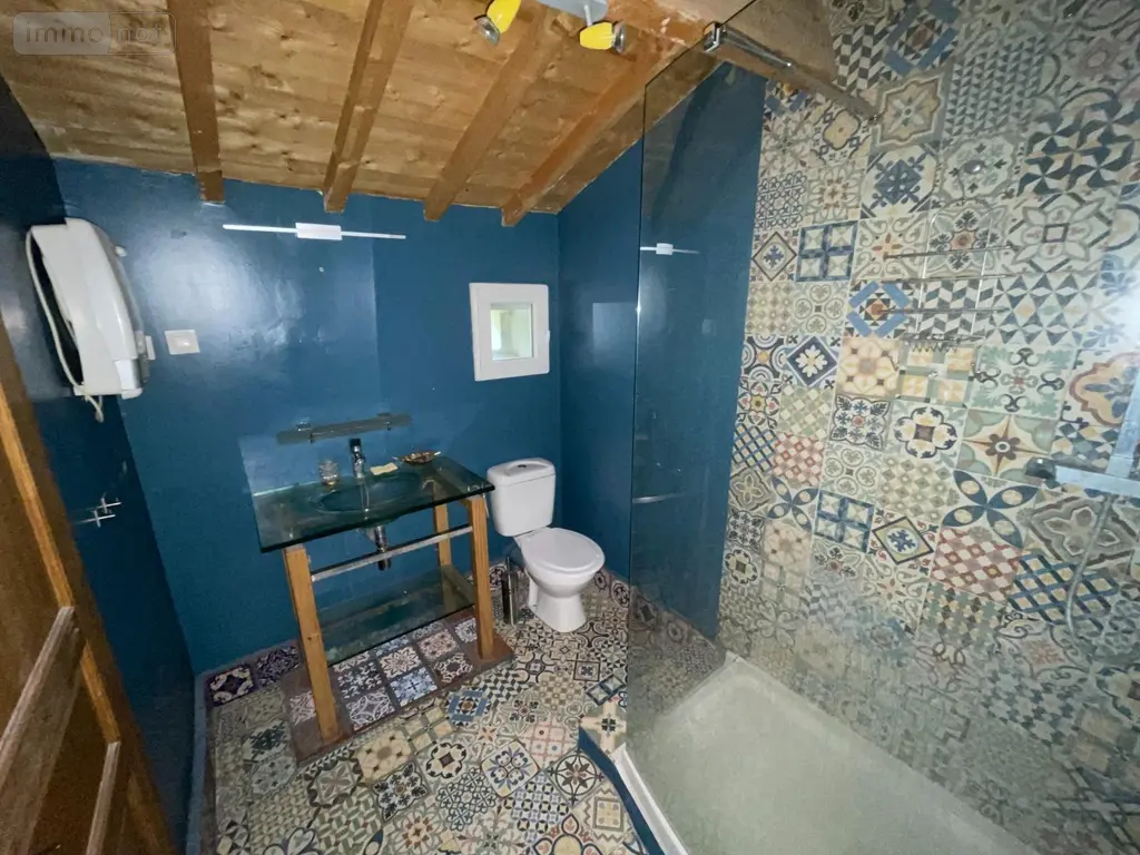 Maison a vendre Perthes-lès-Brienne 10500 Aube 10 153 m2 7 pièces 199000 euros achat_maison_com_10285_10500 012