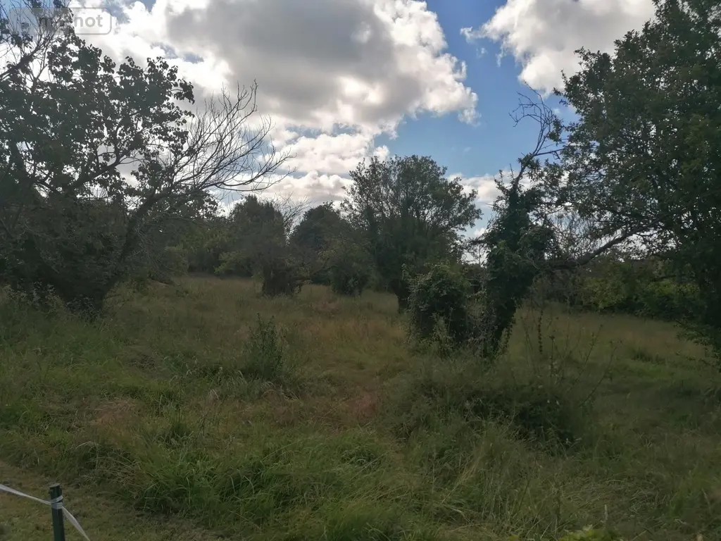 Terrain a batir a vendre Cricquebœuf 14113 Calvados 14 650 m2 199000 euros TB130 003