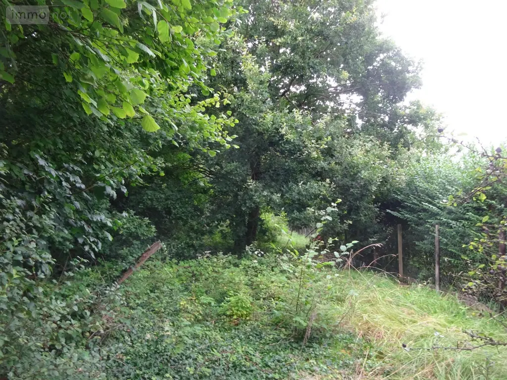 Divers a vendre Marolles-les-Buis 28400 Eure-et-Loir 28 6200 euros MLB 957 002