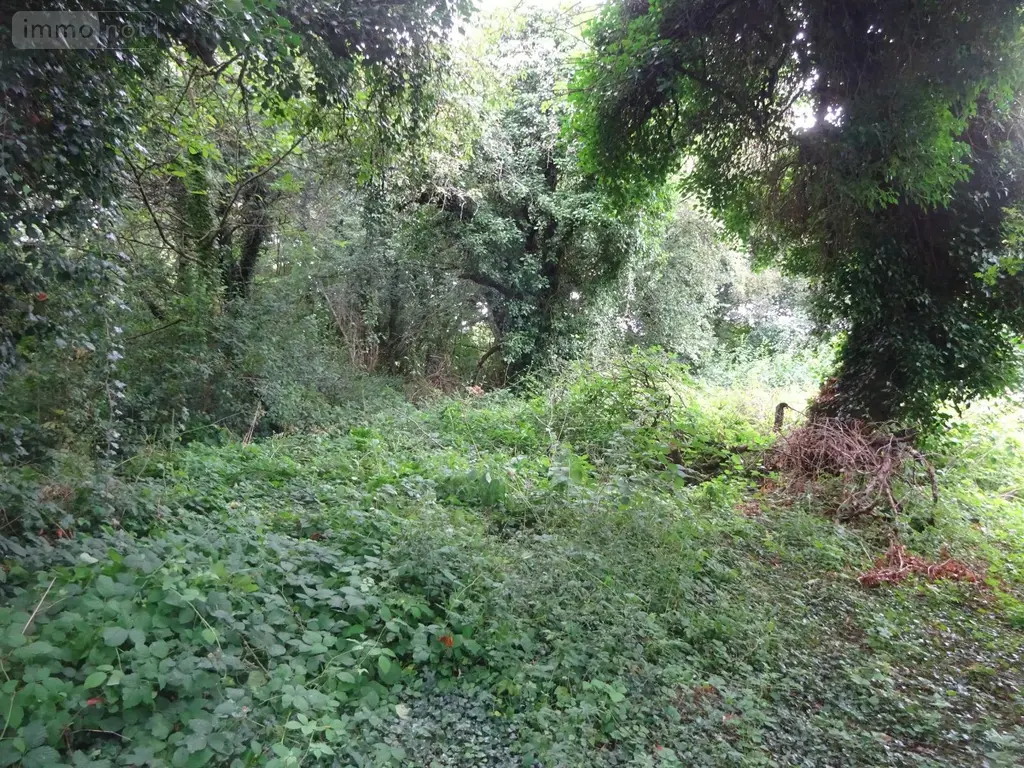 Divers a vendre Marolles-les-Buis 28400 Eure-et-Loir 28 6200 euros MLB 957 003