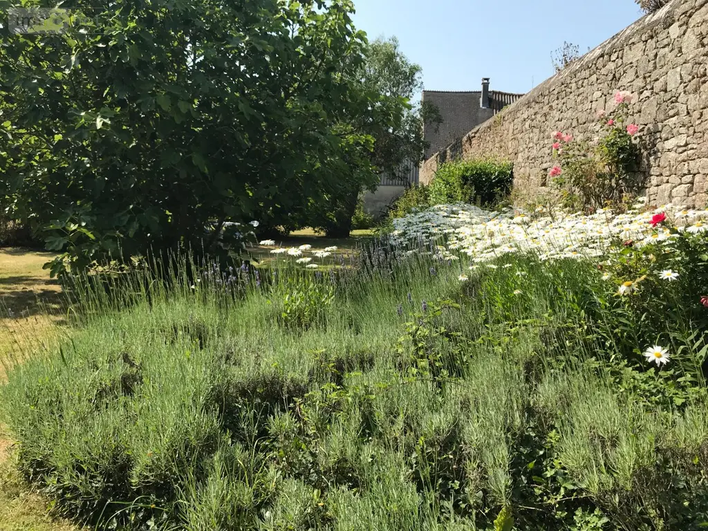Propriete a vendre Barfleur 50760 Manche 50 228 m2 11 pièces 699990 euros 330 020