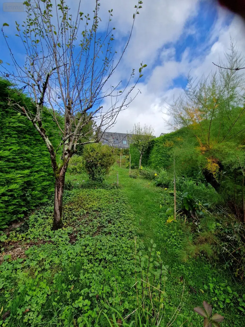Maison a vendre Genillé 37460 Indre-et-Loire 37 77 m2 4 pièces 115100 euros achat_maison_com_37111_37460 004