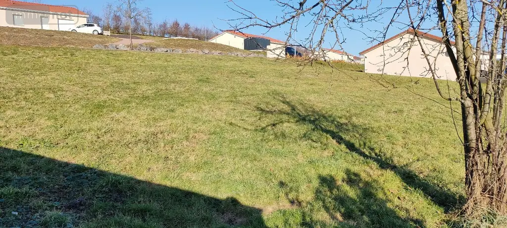 Terrain a batir a vendre Baudemont 71800 Saône-et-Loire 71 868 m2 25000 euros achat_terrain_a_batir_com_71022_71800 003